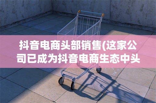 抖音电商头部销售(这家公司已成为抖音电商生态中头部服务商)