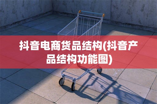 抖音电商货品结构(抖音产品结构功能图)
