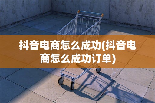 抖音电商怎么成功(抖音电商怎么成功订单)