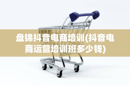 盘锦抖音电商培训(抖音电商运营培训班多少钱)