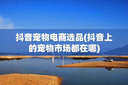 抖音宠物电商选品(抖音上的宠物市场都在哪)