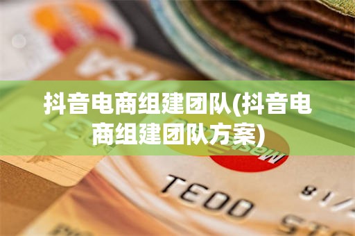 抖音电商组建团队(抖音电商组建团队方案)