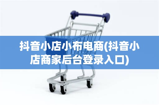 抖音小店小布电商(抖音小店商家后台登录入口)