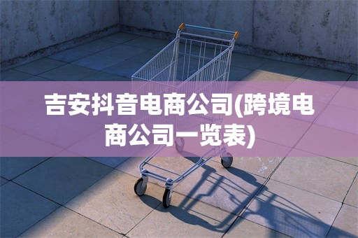 吉安抖音电商公司(跨境电商公司一览表)
