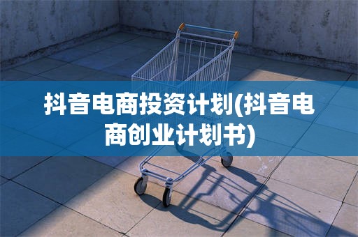 抖音电商投资计划(抖音电商创业计划书)