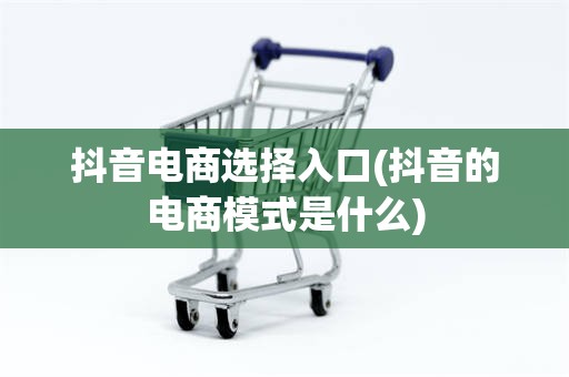 抖音电商选择入口(抖音的电商模式是什么)