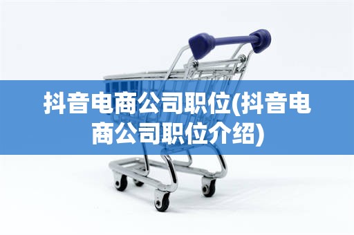 抖音电商公司职位(抖音电商公司职位介绍)