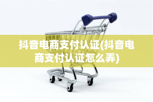 抖音电商支付认证(抖音电商支付认证怎么弄)