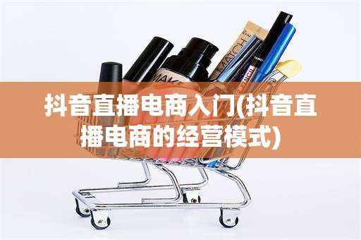 抖音直播电商入门(抖音直播电商的经营模式)