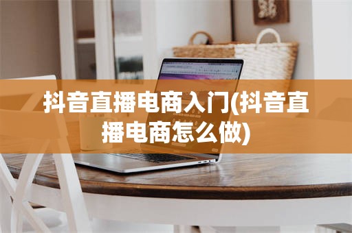 抖音直播电商入门(抖音直播电商怎么做)