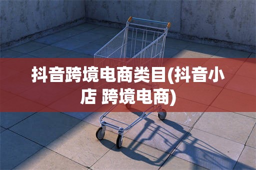 抖音跨境电商类目(抖音小店 跨境电商)