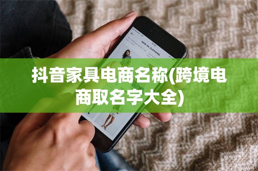 抖音家具电商名称(跨境电商取名字大全)