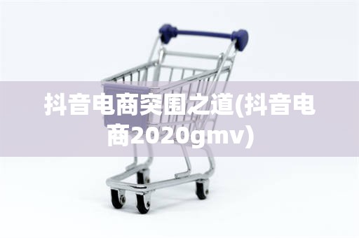 抖音电商突围之道(抖音电商2020gmv)