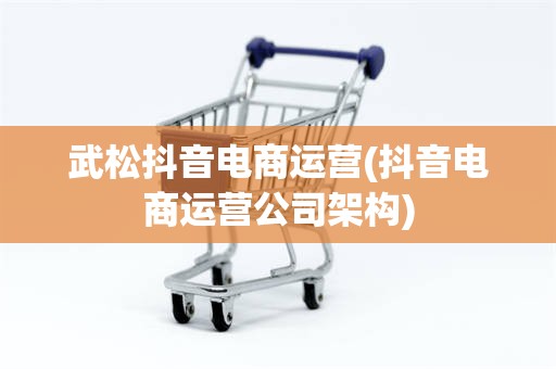武松抖音电商运营(抖音电商运营公司架构)