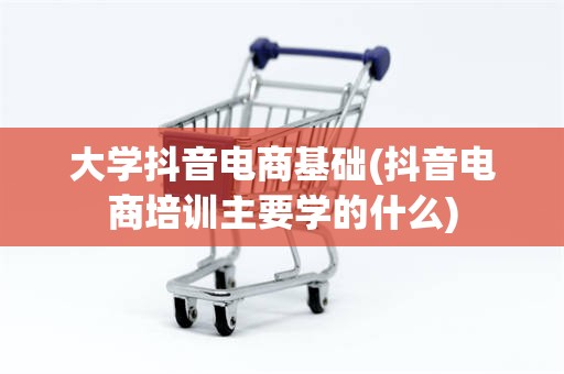 大学抖音电商基础(抖音电商培训主要学的什么)