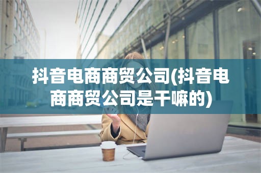 抖音电商商贸公司(抖音电商商贸公司是干嘛的)