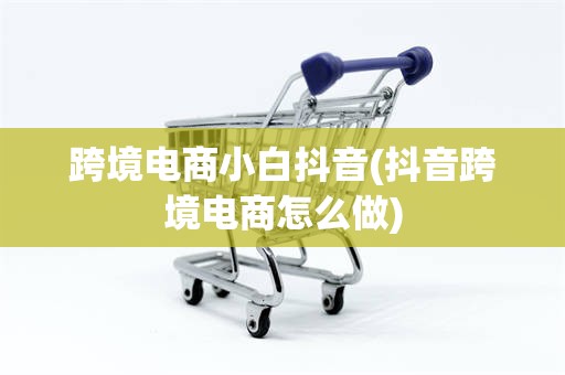 跨境电商小白抖音(抖音跨境电商怎么做)